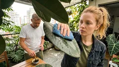 Glicerina em casa: 6 usos práticos e um cuidado que faz toda a diferença