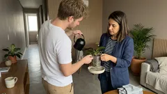 Plantas para ambientes internos com pouca luz (e pouca ventilação): o que realmente funciona — e como acertar nos cuidados