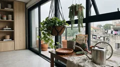 Plantas pendentes que dão certo de verdade: como combinar luz e rega (e 15 espécies para testar)