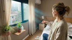 Planta no quarto faz mal? O mito do “oxigênio à noite” e 6 espécies fáceis de cuidar